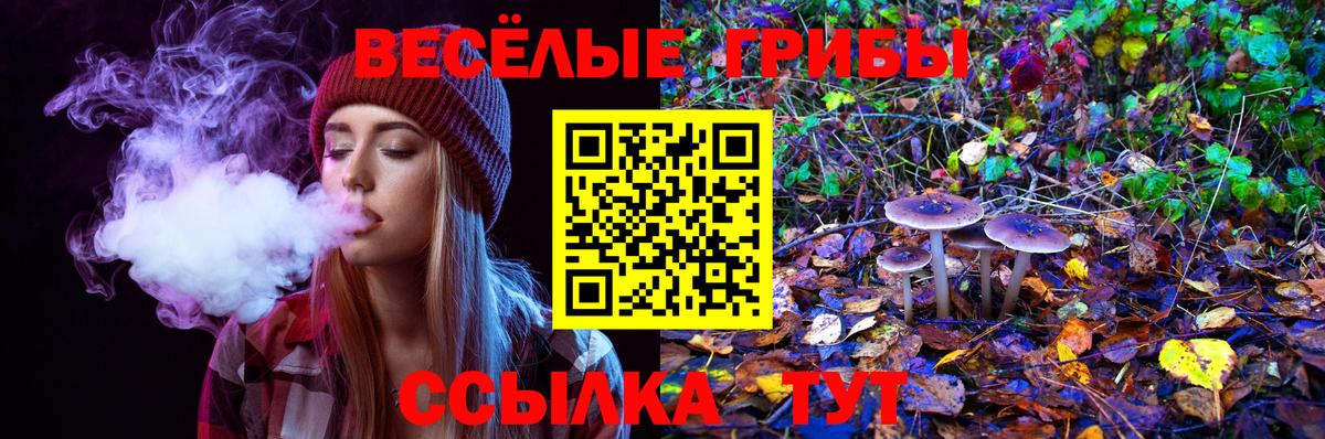 Пятигорск  Псилоцибиновые грибы мухоморы  Вход с VPN 