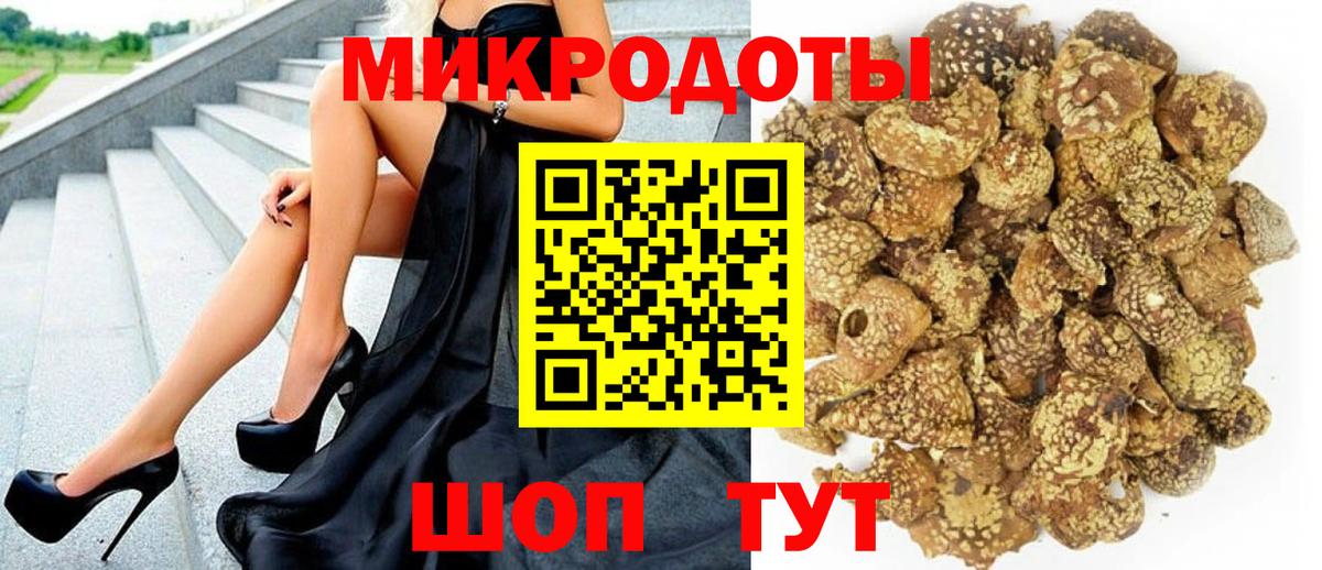 Галлюциногенные грибы Cubensis Пятигорск
